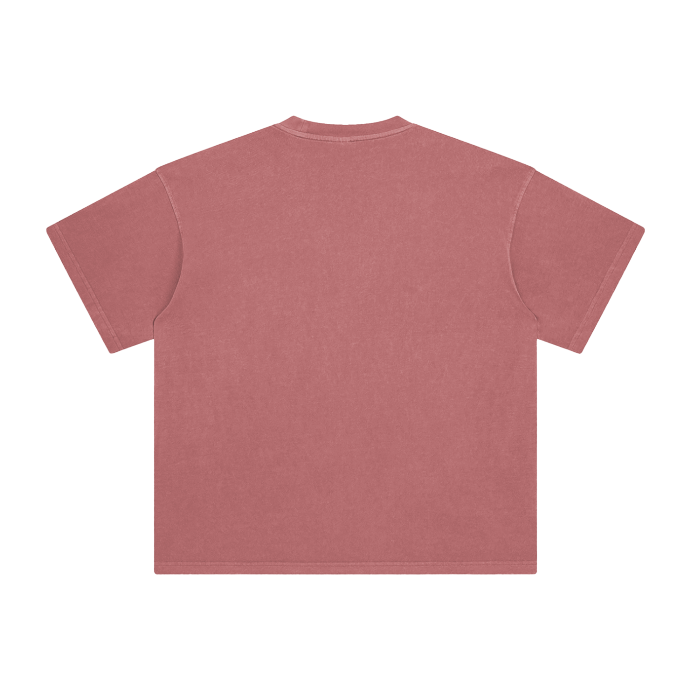 Saint Luciel Enzyme Washed T-Shirt