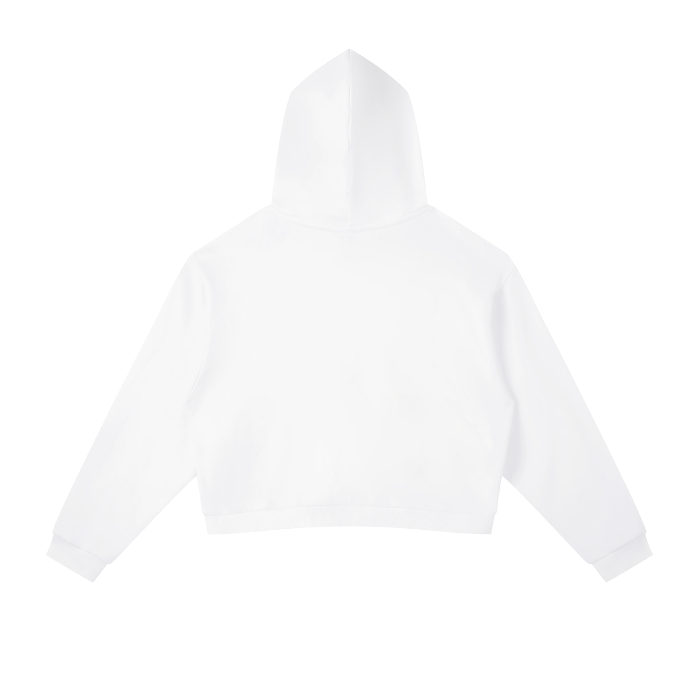 Saint Luciel Contrast Stripe Cropped Hoodie