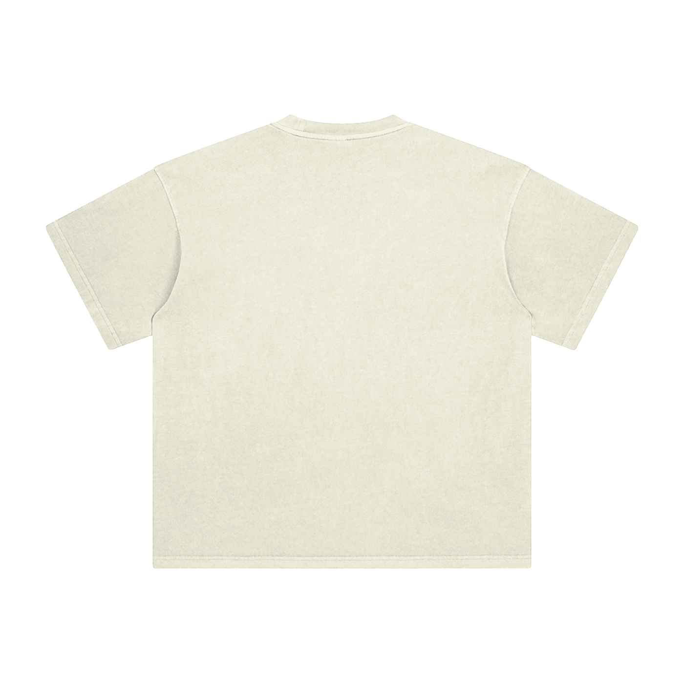 Saint Luciel Enzyme Washed T-Shirt